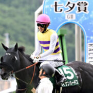 競馬 直筆サイン サトノダイヤモンド ゴールドドリーム アユサン